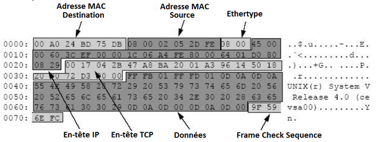 Octets d'une trame Ethernet montrant les entêtes d'encapsulation
