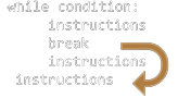 Instuction break
