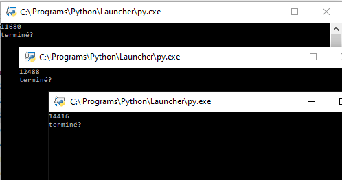Le PID de plusieurs processus Python concurents