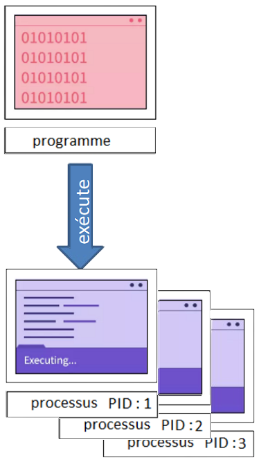 Programme vs processus