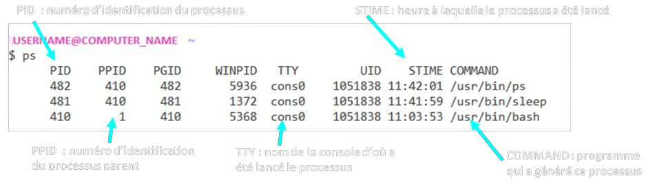 la commande ps pour vois les processus