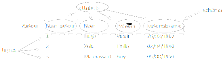 tableau des données de la relation Auteur