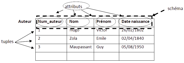 tableau des données de la relation Auteur