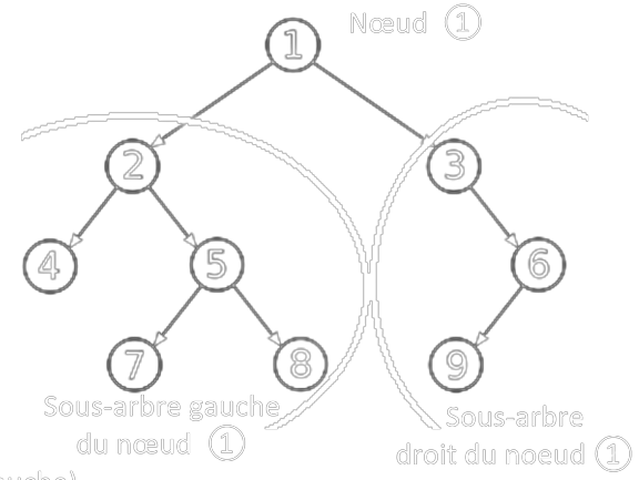 Structures Hiérarchiques : Arbres - Ressources De Terminale NSI